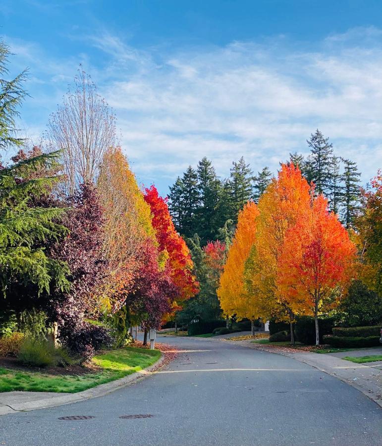 דירות Sammamish Lucy'S Elegant & Cozy House מראה חיצוני תמונה