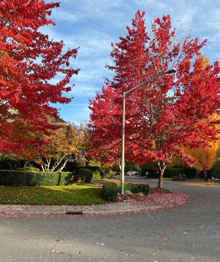 דירות Sammamish Lucy'S Elegant & Cozy House מראה חיצוני תמונה