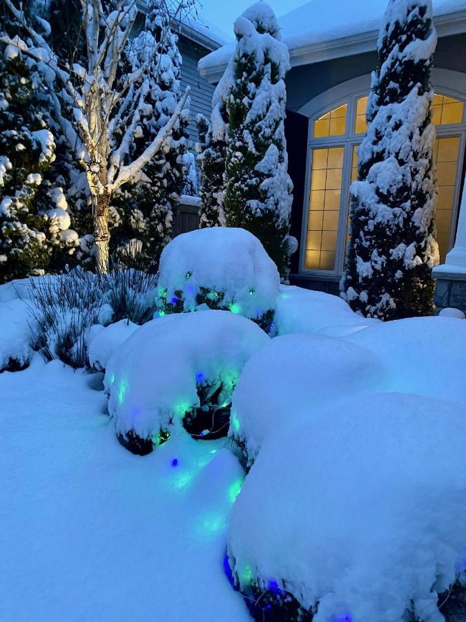 דירות Sammamish Lucy'S Elegant & Cozy House מראה חיצוני תמונה